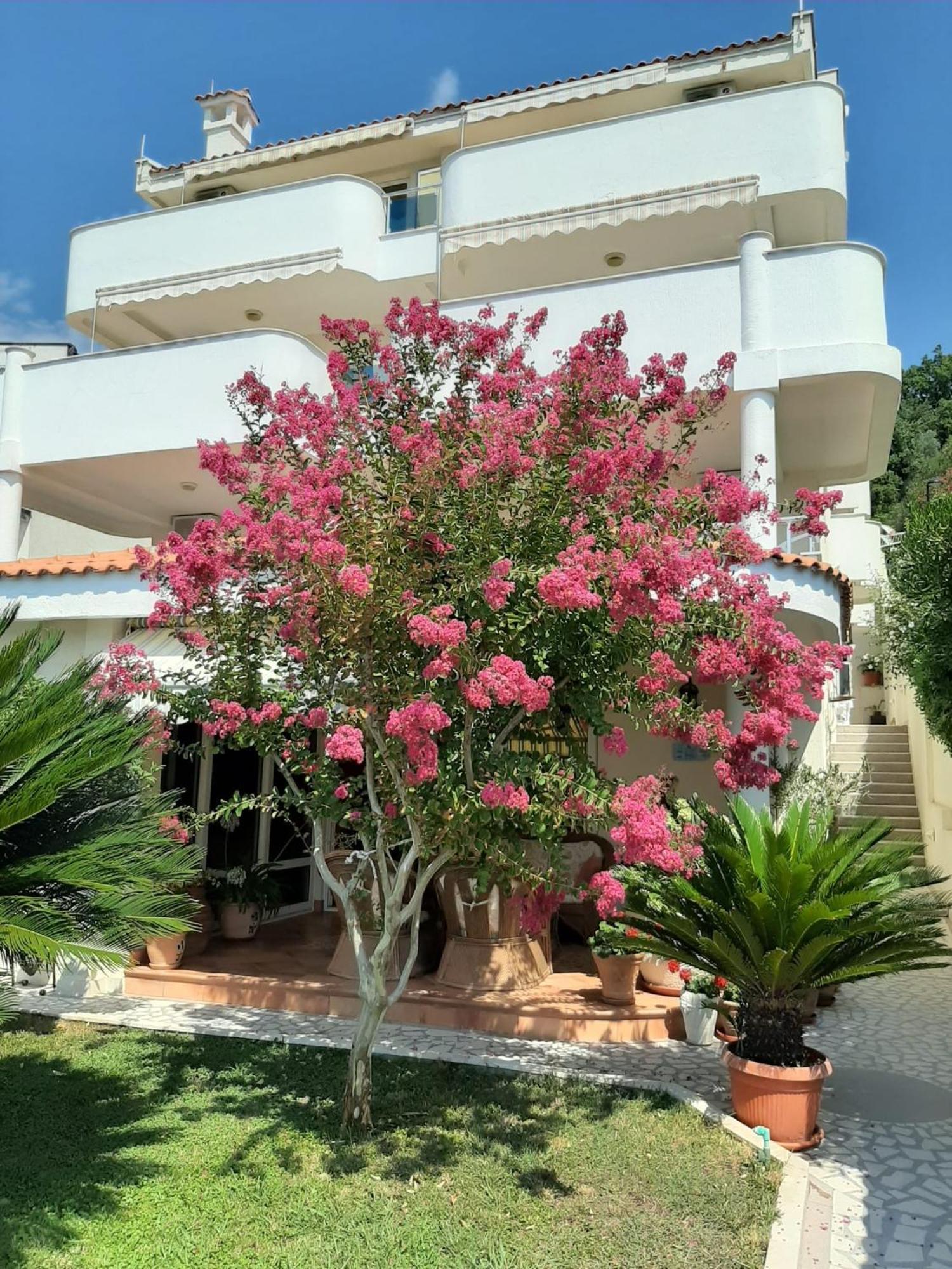 Apartments Villa Mare Mar Sutomore Εξωτερικό φωτογραφία